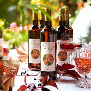 Vinberg Premium Verjus Klassik Rosé von Verjus Shop (histaminam, glutenfrei, vegan)